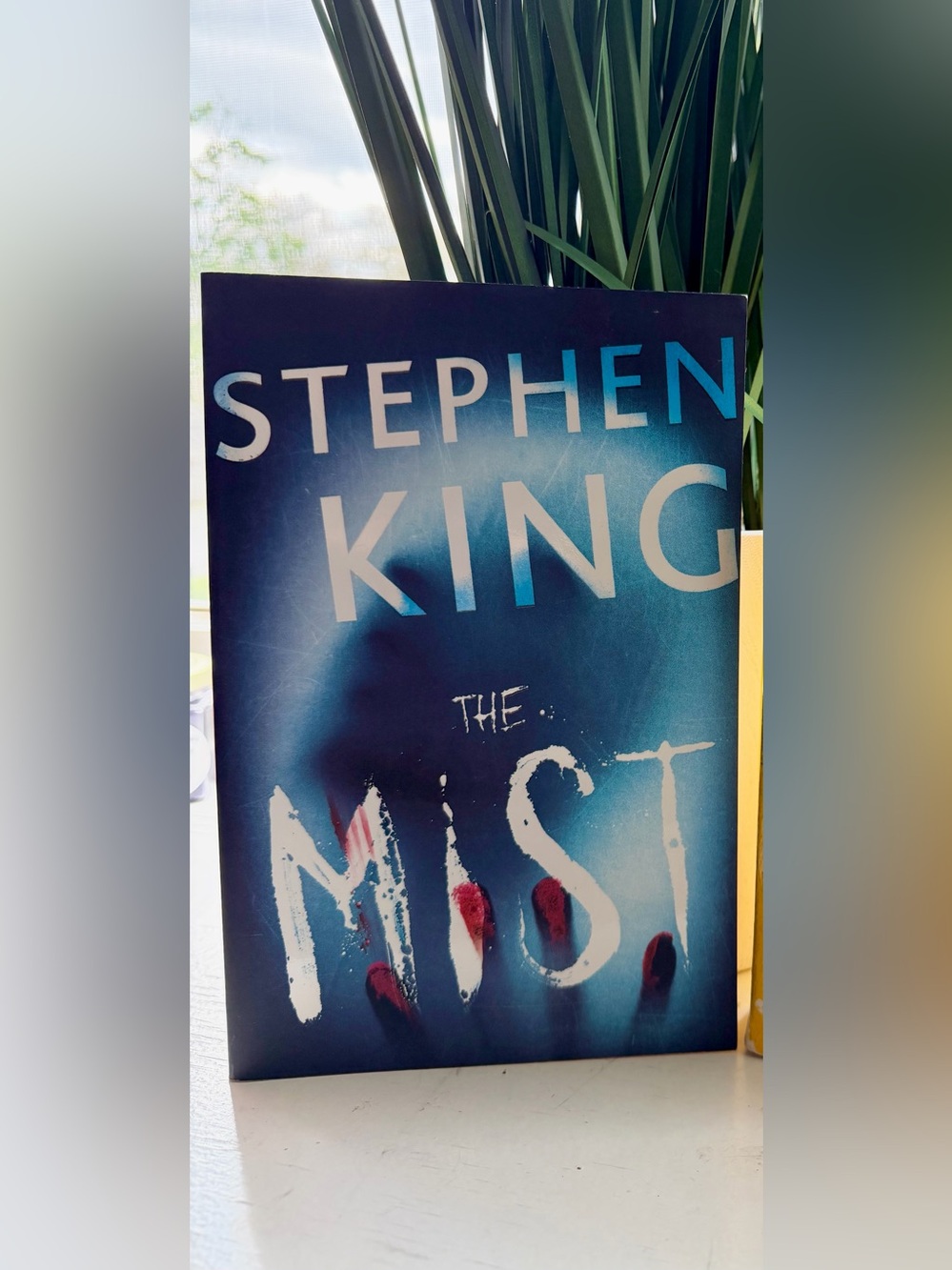 Stephen King The Mist | Creepy Survival Horror Paperback | Discounted Shipping!